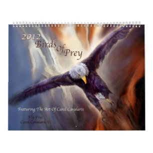 Raubvögel Kunst-Kalender 2012 Kalender