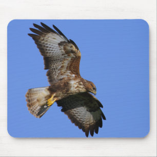 Raubvögel Mousemats Mousepad