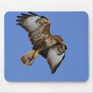 Raubvögel Mousemats Mousepad