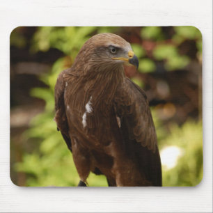 Raubvögel Mousepad