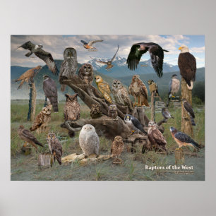 Raubvögel West2019 Poster