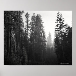 Rauch von einem nahegelegenen Wildfeuerfilter durc Poster