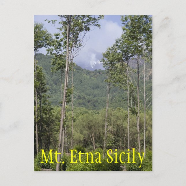 Rauchen des Ätna durch die Bäume Postkarte (Vorderseite)