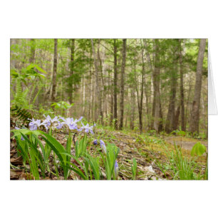 Raucher-Bergweg im Frühling