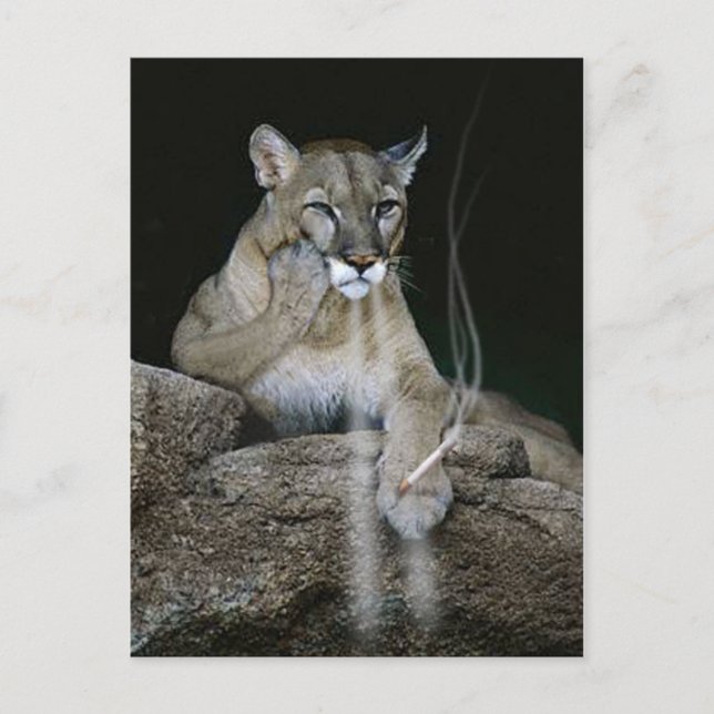 Raucherpumpe Postkarte (Vorderseite)