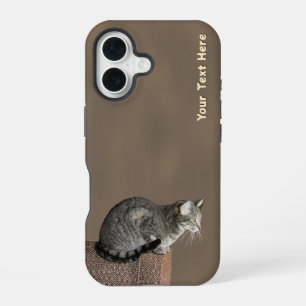 Rauchgraue getigerte Katze iPhone 16 Hülle