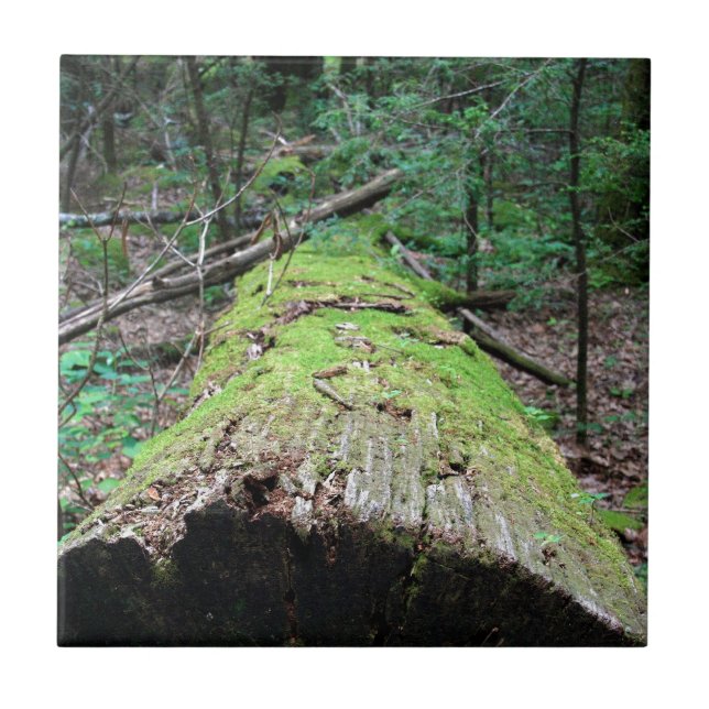 Rauchige Berge Fliese (Vorderseite)