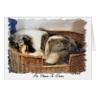 Raue Collie-Kunst-Geschenke