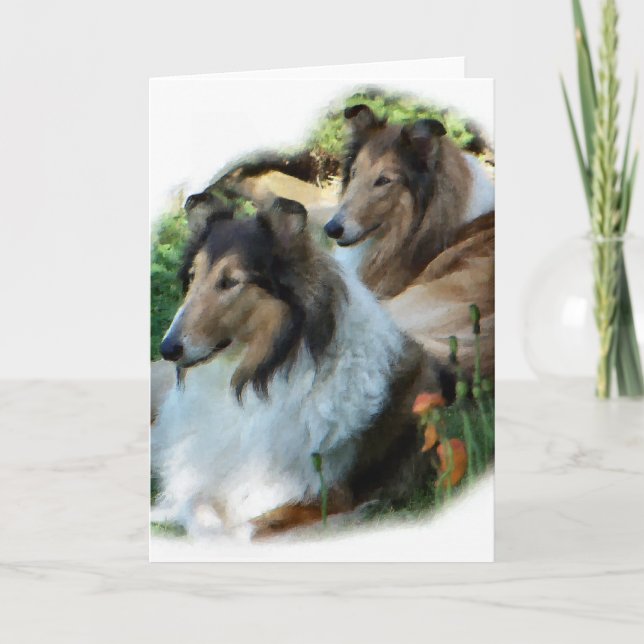 Raue Collie-Kunst-Geschenke Karte (Vorderseite)