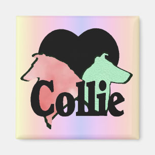 Raue und glatte Collie-Geschenke Magnet