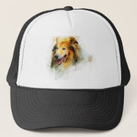Rauer Collie/langhaariger Collie