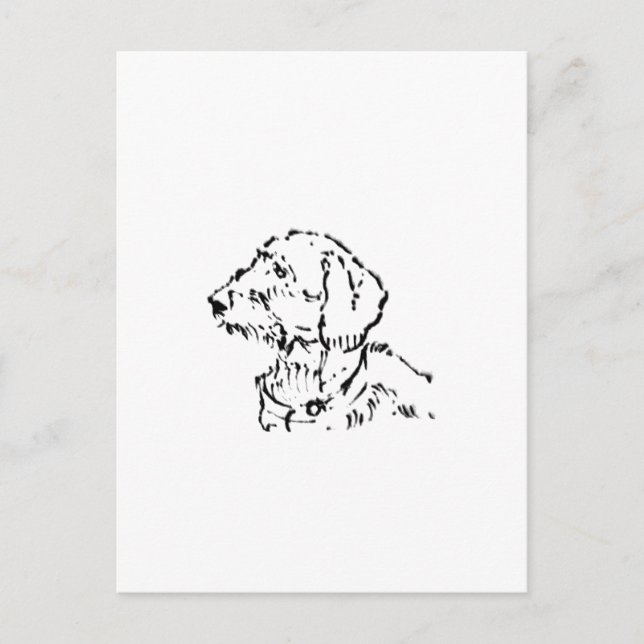 Rauhaar-Dachshund-Hundeeltern Postkarte (Vorderseite)