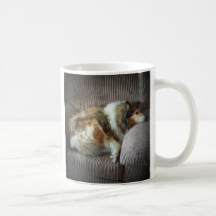 Rauhhaar Collie auf Armsessel Kaffeetasse