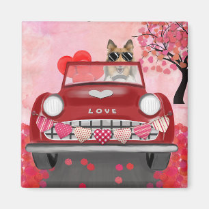 Rauhhaar Collie Hund Auto mit Herzen Valentinstag Magnet