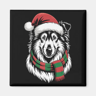Rauhhaar Collie Hund Weihnachten Santa Hut Schal C Magnet