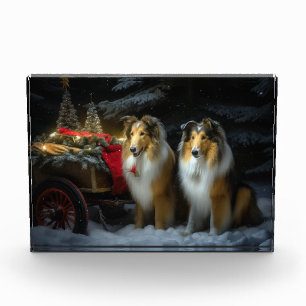 Rauhhaar Collie Schneebedeckter Schlitten Weihnach Fotoblock