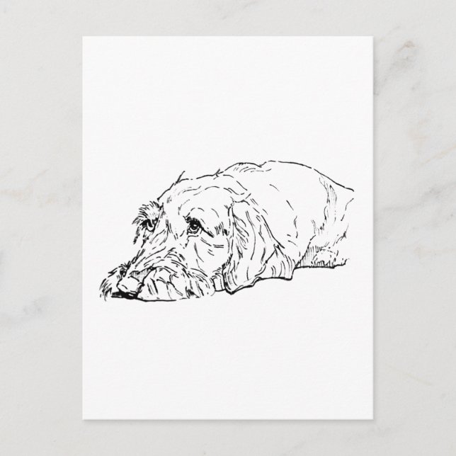Rauhhaar-Dackel Kunst - Niedlich Postkarte (Vorderseite)