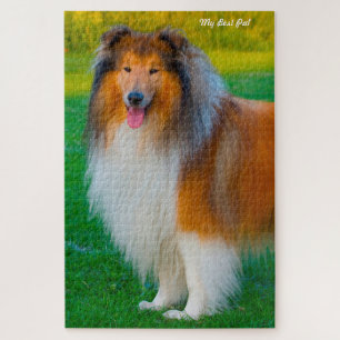 Rauhhaarige Collie-Hunde Puzzles. Puzzle