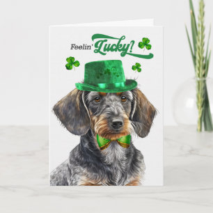 Rauhhaariger Dackel Hund Glücklicher St. Patrick's Feiertagskarte