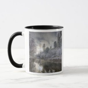Rauhreif entlang eines Altwassers auf Kelly Island Tasse