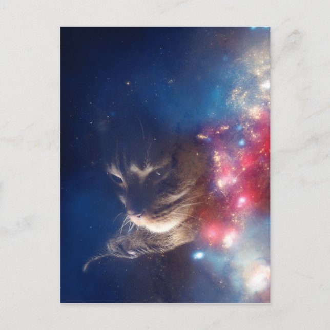 Raum-Katzen-Galaxie Postkarte (Vorderseite)
