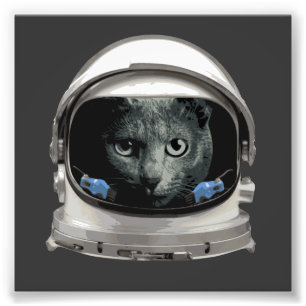 Raum-Sturzhelm-Astronauten-Katze Fotodruck