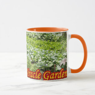 Raum-Wunder-Tasse Baltimores grüne Tasse