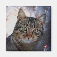 Raumkatze
