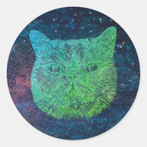 Raumkatze