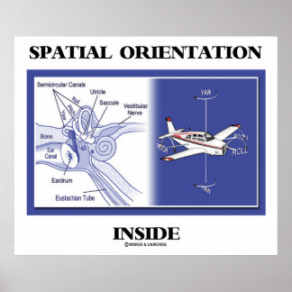 Raumorientierung im Inneren (Ohranatomie-Flugzeug) Poster