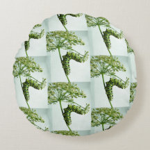 Raupe aus schwarzem Frack isst Petersilie