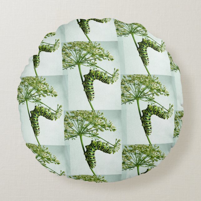 Raupe aus schwarzem Frack isst Petersilie Rundes Kissen (Vorderseite)