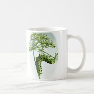 Raupe aus schwarzem Frack isst Petersilie Tasse