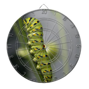 Raupe aus schwarzem Frack (Petersilie) auf Dil. Dartscheibe