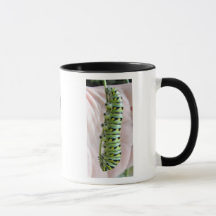 Raupe aus schwarzem Frack/Tasse Tasse