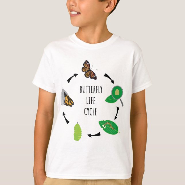 Raupe Butterfly Life Cycle Biology Science T-Shirt (Vorderseite)