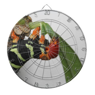 Raupe Dart Board Dartscheibe