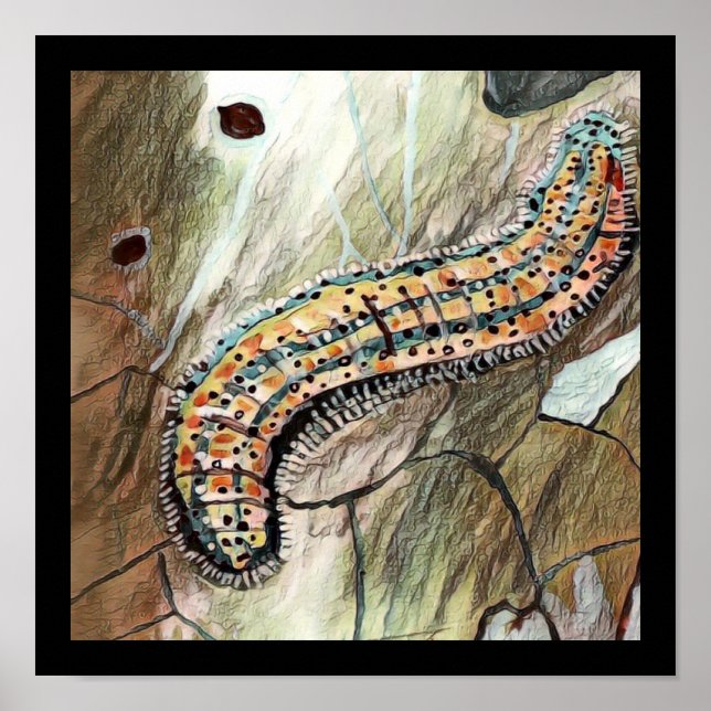 Raupe 🐛 der Ostweißen Schmetterling-🦋 Poster (Vorne)