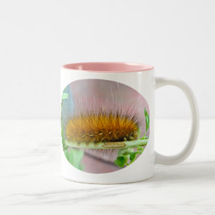 Raupe des Gelbbbären Zweifarbige Tasse