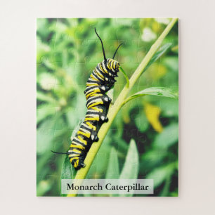 Raupe des Monarchfalters auf Schwanenpflanze 56 Te Puzzle