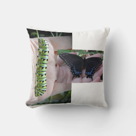 Raupe des schwarzen Fracks/Schmetterling Kissen