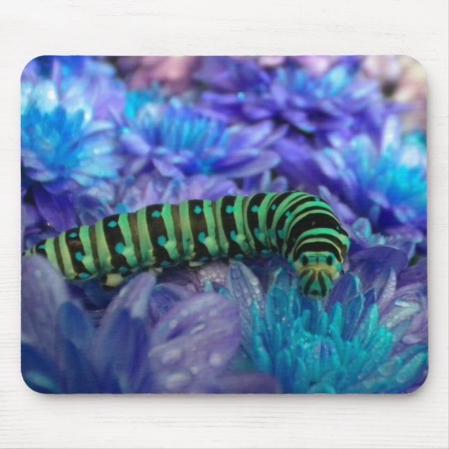 Raupe Fantasy Mousepad (Vorne)