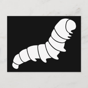Raupe Postkarte