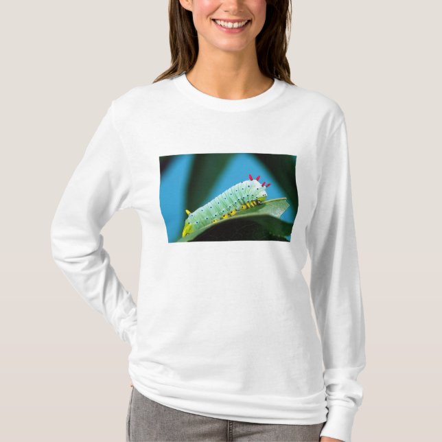 Raupe Prometheus Moth, Callosamia T-Shirt (Vorderseite)