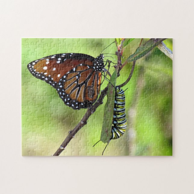 Raupe Queen Butterfly und Monarch Puzzle (Horizontal)