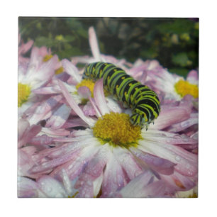 Raupe Stroll Tile Trivet Fliese