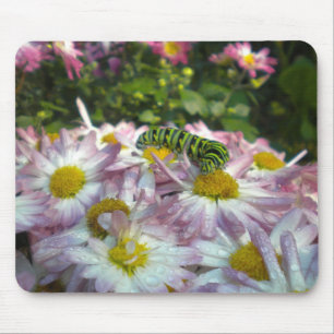 Raupe und Asters Mousepad