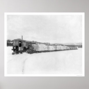 Raupe Yukon Freight 1924 Poster