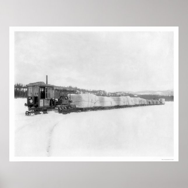 Raupe Yukon Freight 1924 Poster (Vorne)