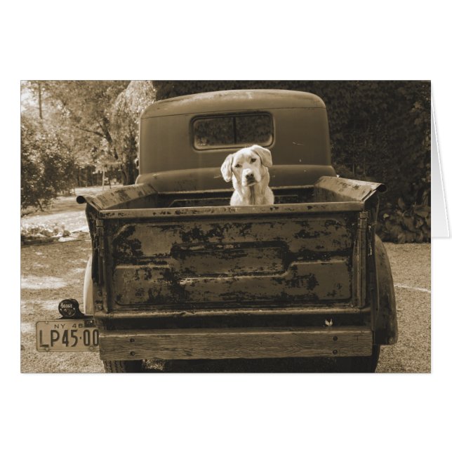 Raus aus dem Dodge - Hundfoto (Vorderseite (Horizontal))